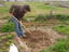 Preparação do terreno para colocação de sementes de cenoura na terra